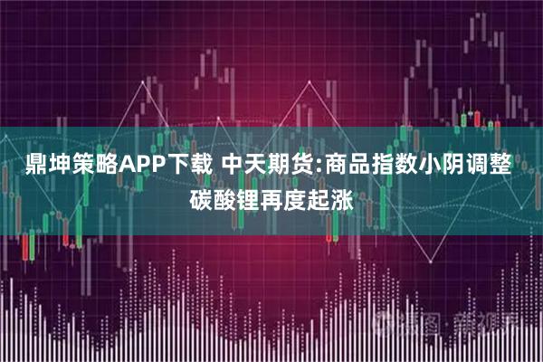 鼎坤策略APP下载 中天期货:商品指数小阴调整 碳酸锂再度起涨