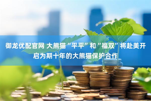 御龙优配官网 大熊猫“平平”和“福双”将赴美开启为期十年的大熊猫保护合作